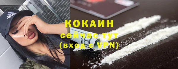 дживик Зерноград