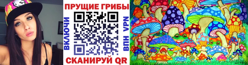 где продают наркотики  Сланцы  Галлюциногенные грибы мухоморы 