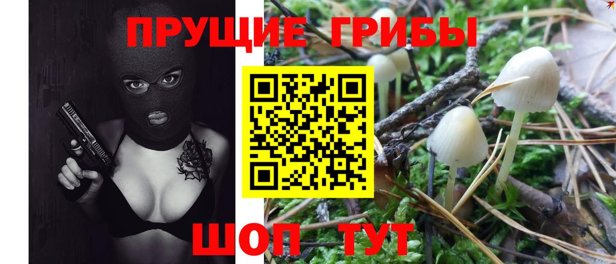 Сланцы  Галлюциногенные грибы мухоморы  Вход с VPN 