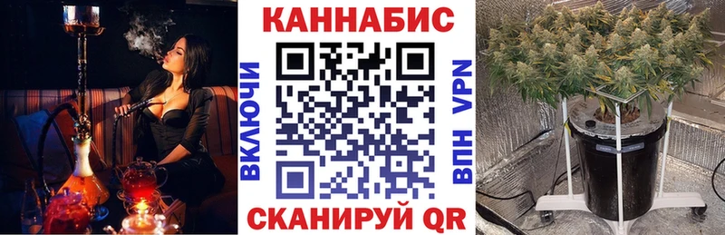 что такое наркотик Сланцы MEGA ССЫЛКА Конопля сатива